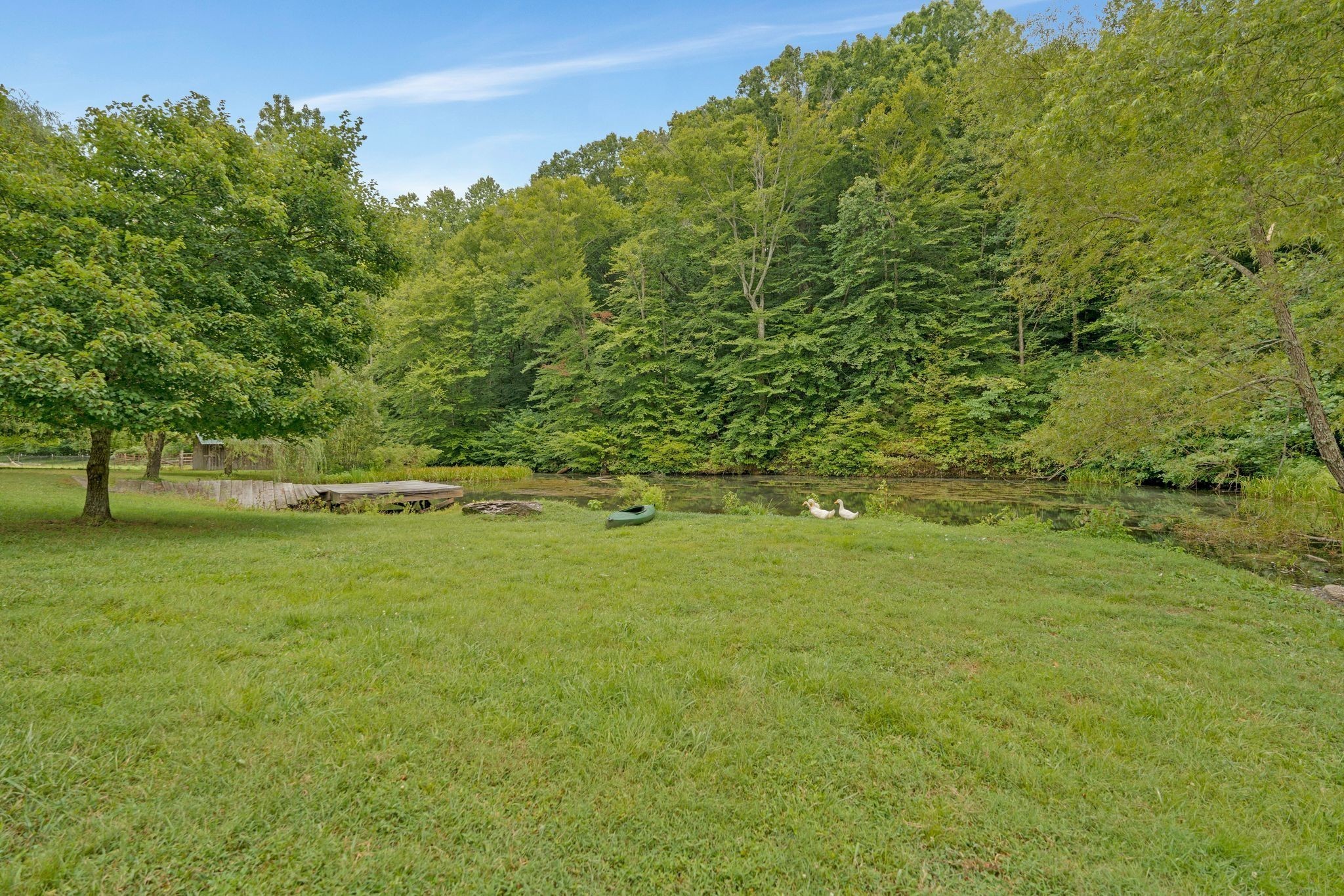 900 Carter Hollow Road Linden, TN 37096 - Photo 43 of 98 Gallery Image 43