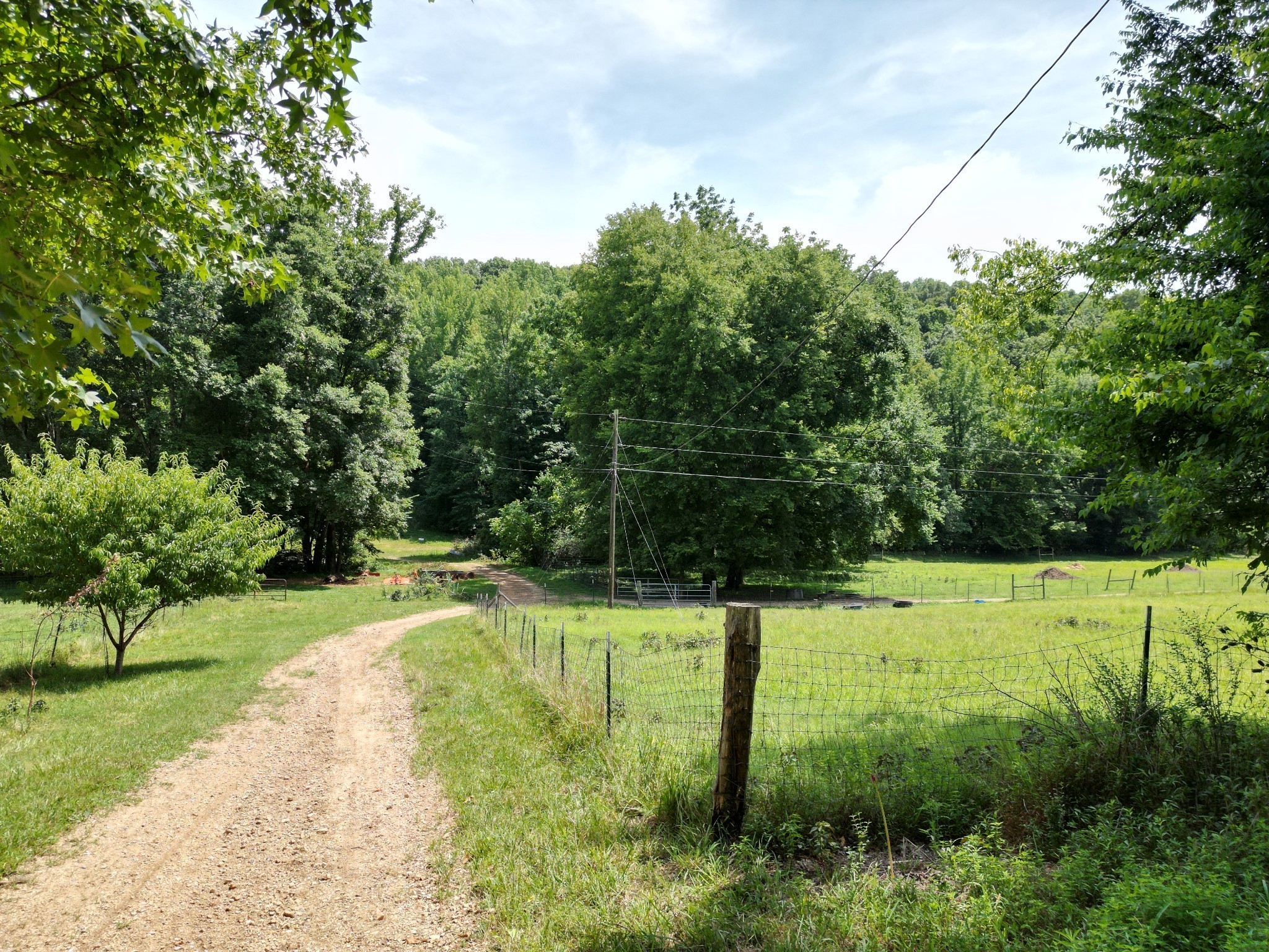900 Carter Hollow Road Linden, TN 37096 - Photo 57 of 98 Gallery Image 57