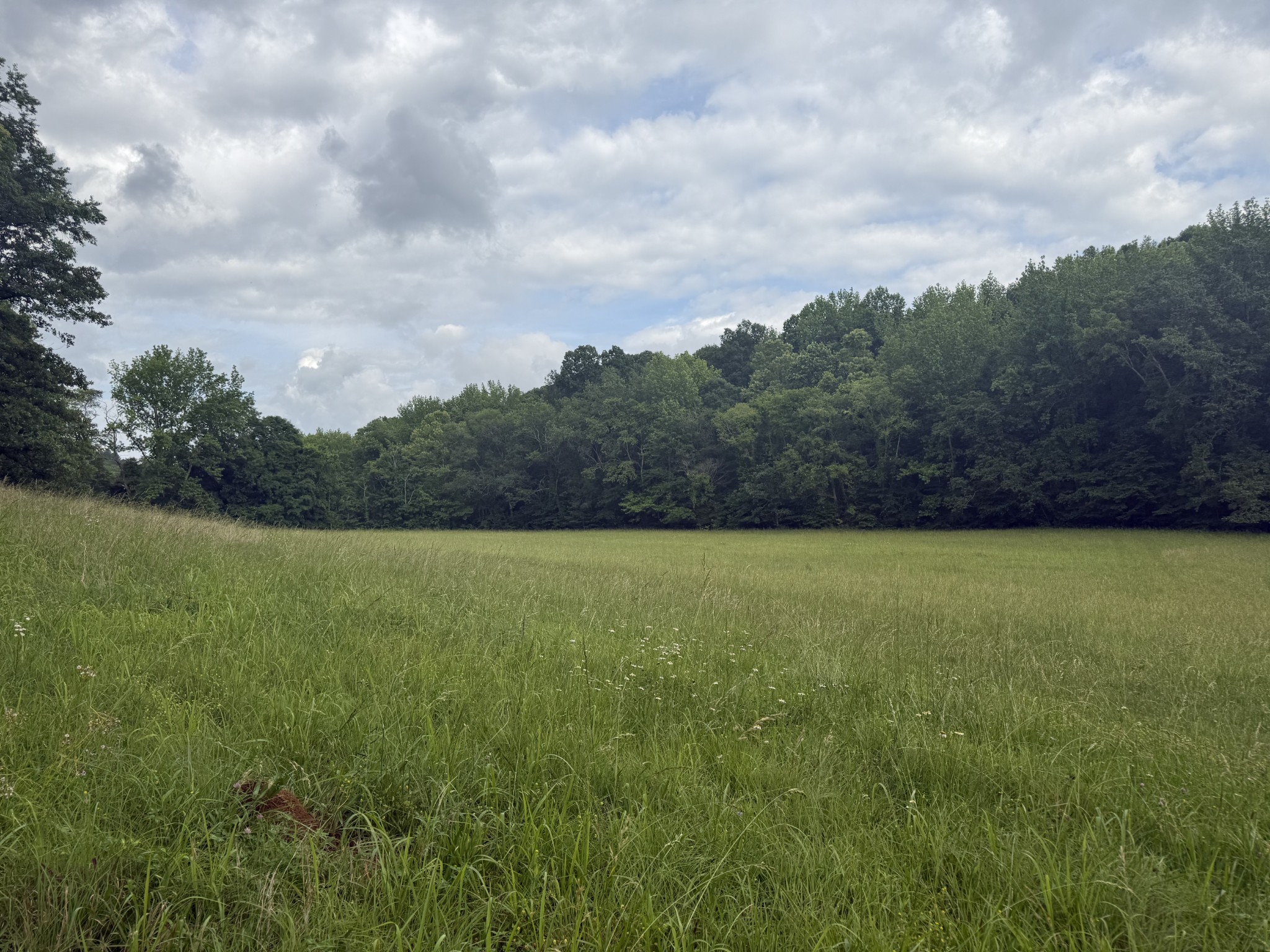 900 Carter Hollow Road Linden, TN 37096 - Photo 68 of 98 Gallery Image 68