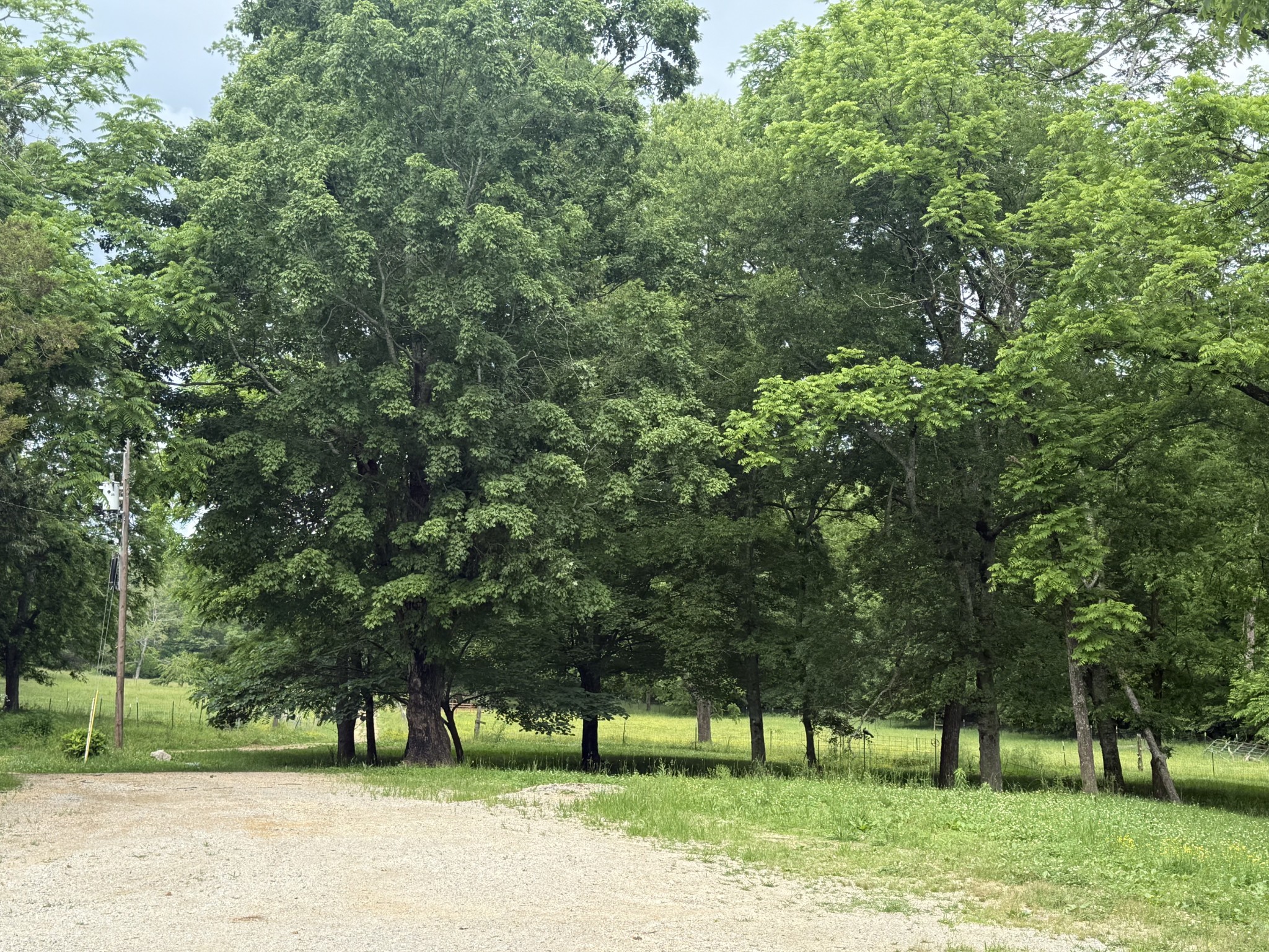 900 Carter Hollow Road Linden, TN 37096 - Photo 73 of 98 Gallery Image 73