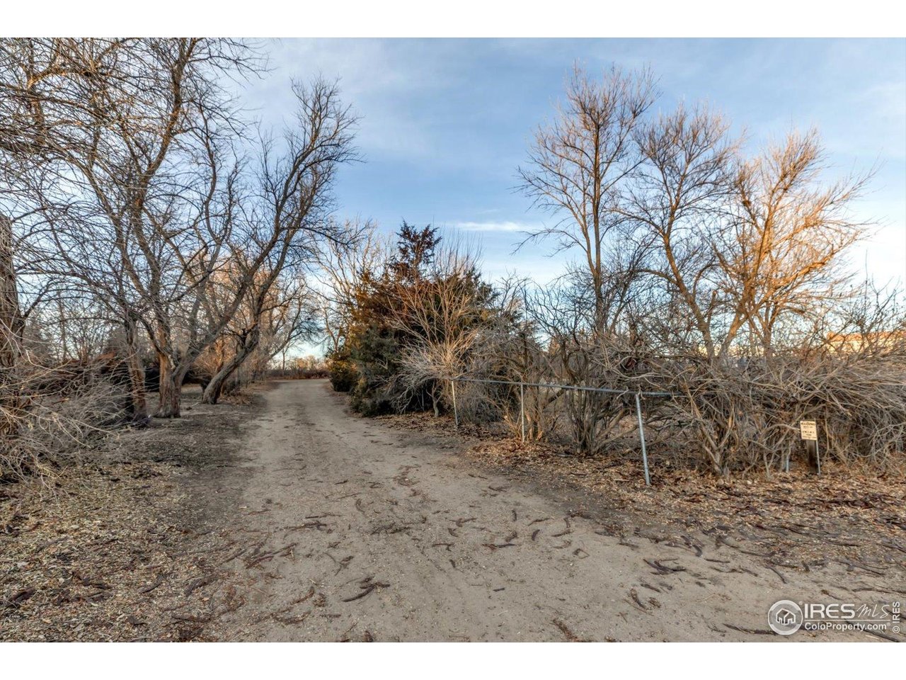 7157 Maple Street Longmont, CO 80504 - Photo 26 of 37