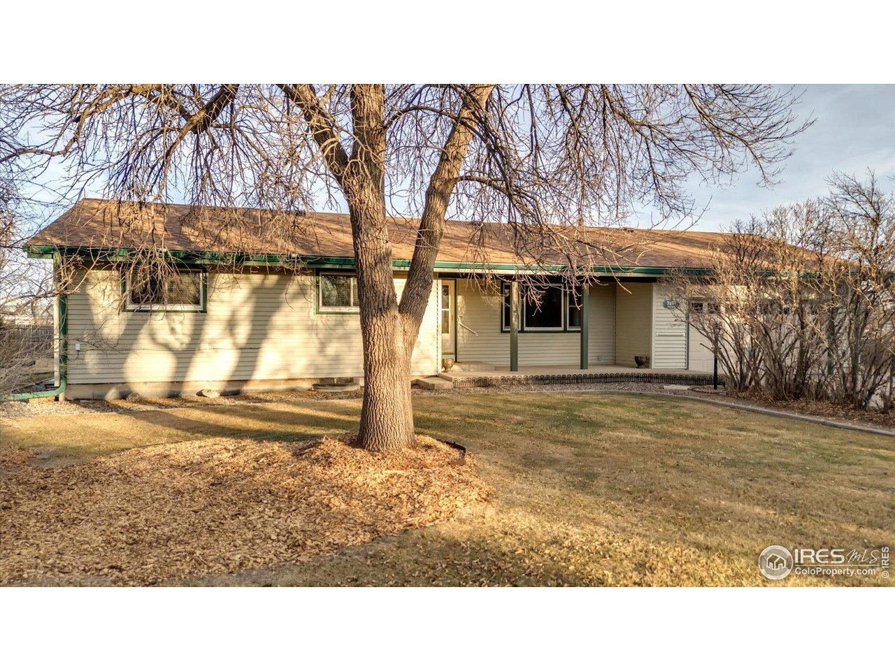 7157 Maple Street Longmont, CO 80504 - Photo 32 of 37