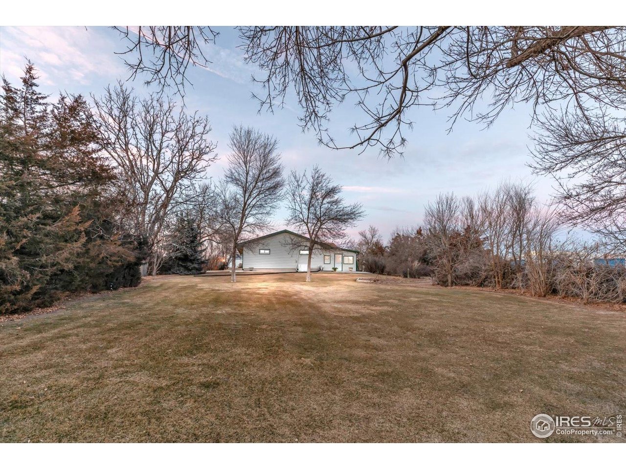 7157 Maple Street Longmont, CO 80504 - Photo 6 of 37