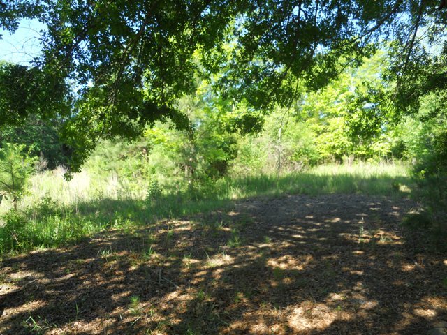 5.13-acres Little Choestoea Road Westminster, SC 29693 - Photo 3 of 6 Gallery Image 3