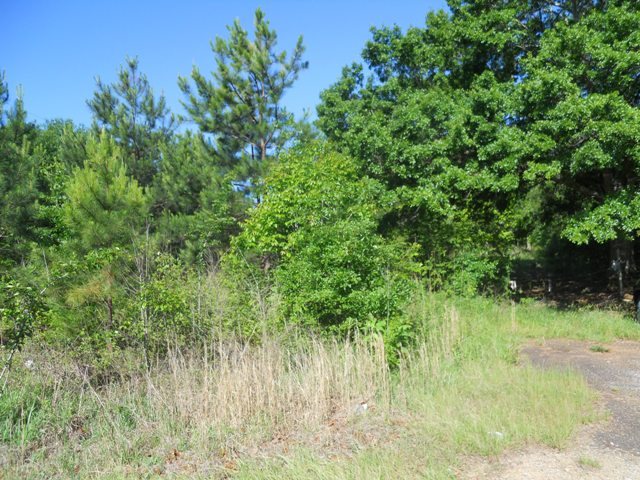 5.13-acres Little Choestoea Road Westminster, SC 29693 - Photo 5 of 6 Gallery Image 5
