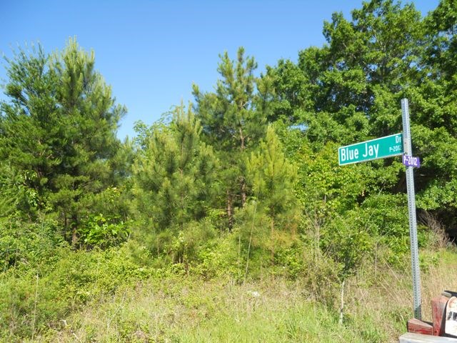 5.13-acres Little Choestoea Road Westminster, SC 29693 - Photo 6 of 6 Gallery Image 6