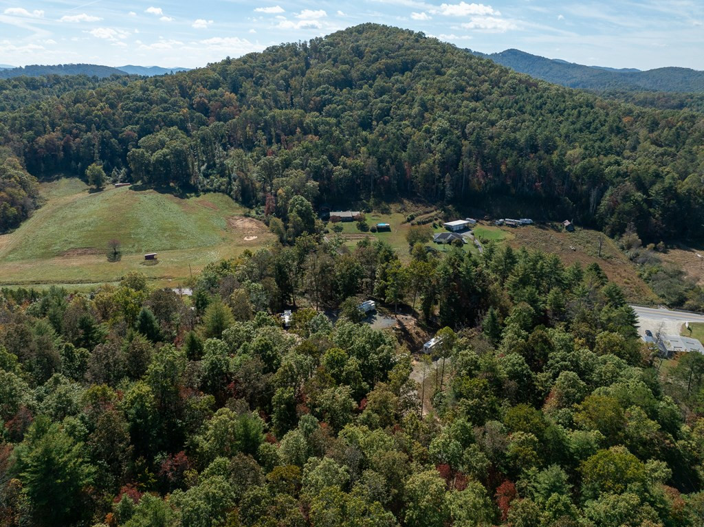 90 Sandy Gap Road Murphy, NC 28906 - Photo 11 of 23