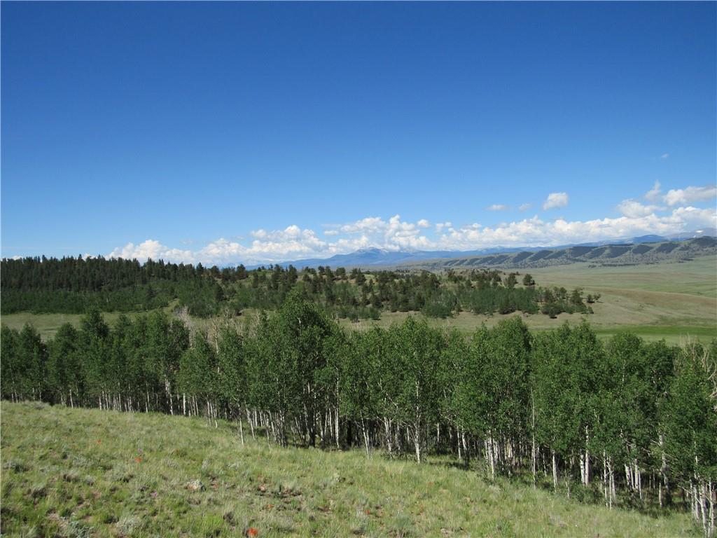 12950 Elkhorn Road Como, CO 80432 - Photo 11 of 30 a view of a city with lush green forest