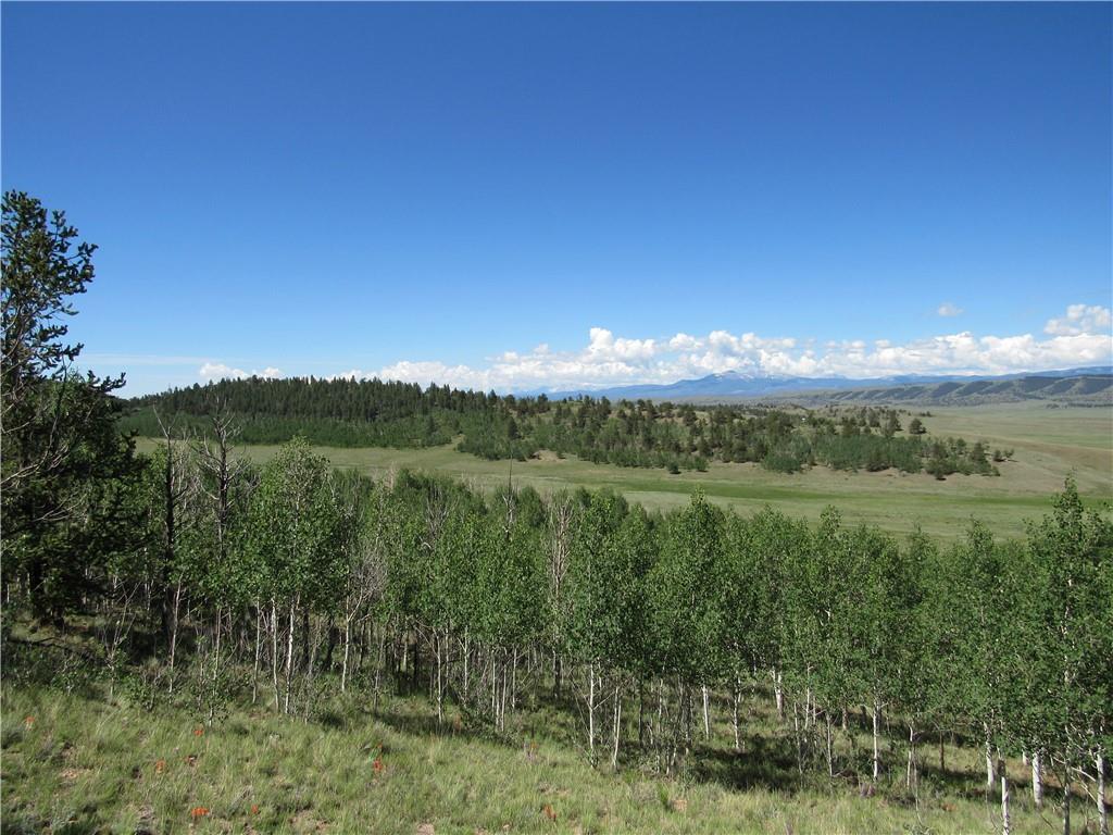 12950 Elkhorn Road Como, CO 80432 - Photo 13 of 30 a view of a lush green outdoor space with lots of trees