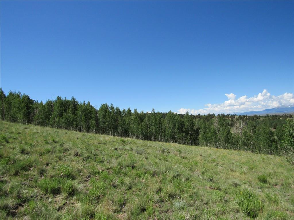 12950 Elkhorn Road Como, CO 80432 - Photo 17 of 30 a view of a lush green outdoor space with a swimming pool and valleys in the background