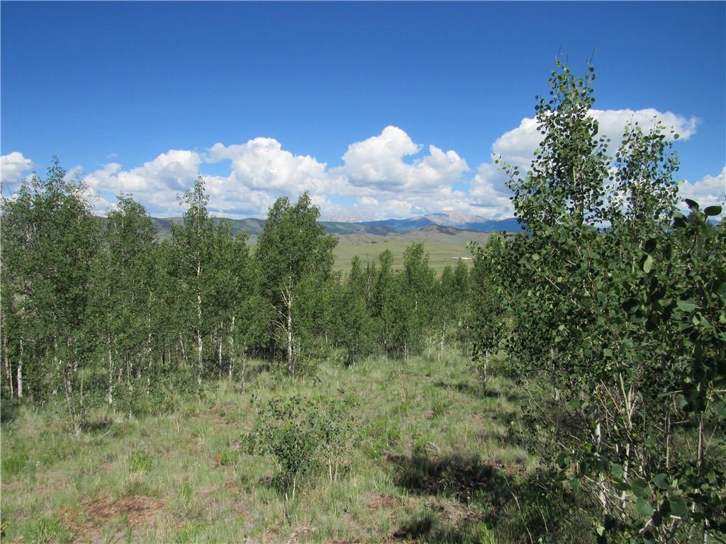 12950 Elkhorn Road Como, CO 80432 - Photo 18 of 30 a view of a bunch of trees in a bunch