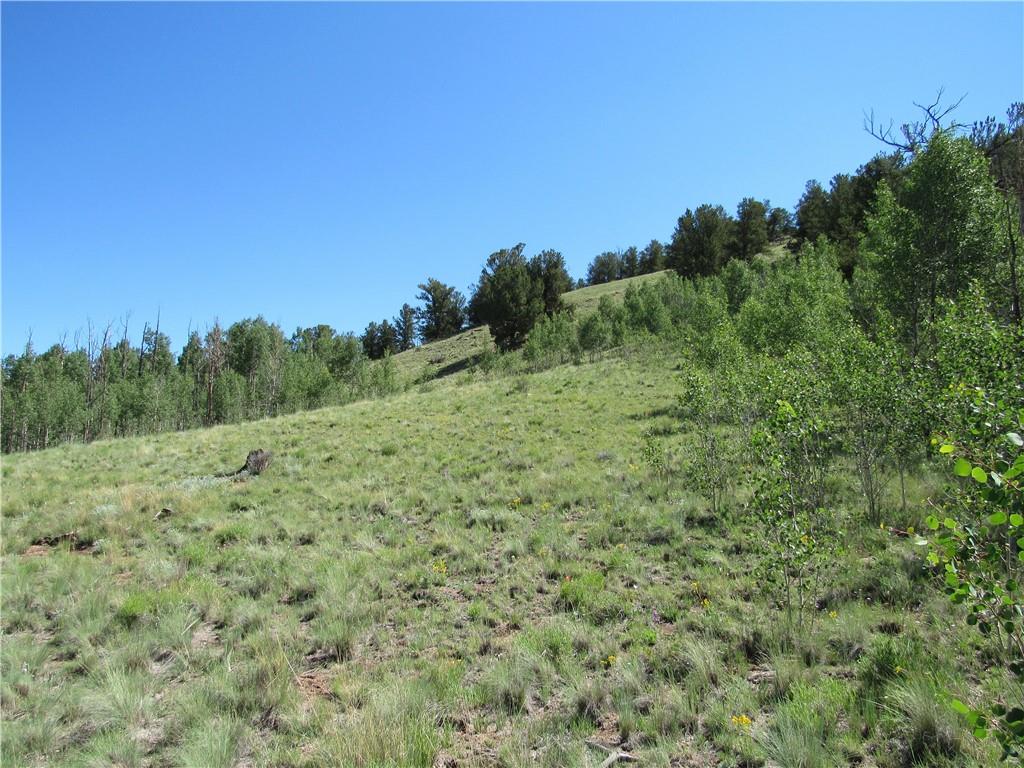 12950 Elkhorn Road Como, CO 80432 - Photo 19 of 30 a view of a big yard with green space