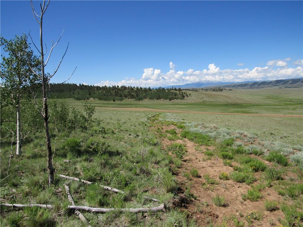 12950 Elkhorn Road Como, CO 80432 - Photo 3 of 30 a view of a lake from a yard