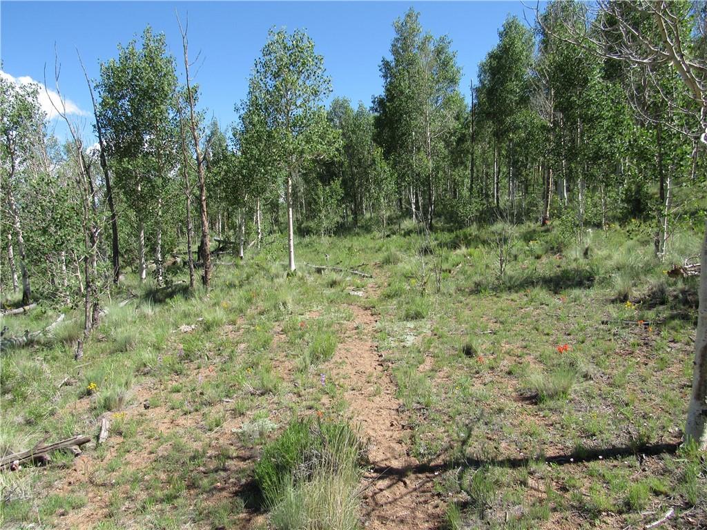 12950 Elkhorn Road Como, CO 80432 - Photo 21 of 30 a view of outdoor space and green space