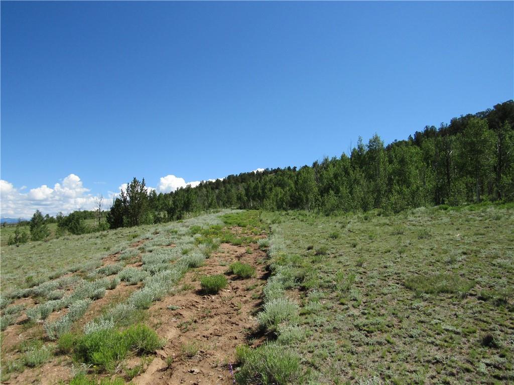 12950 Elkhorn Road Como, CO 80432 - Photo 23 of 30 a view of a big yard with green space