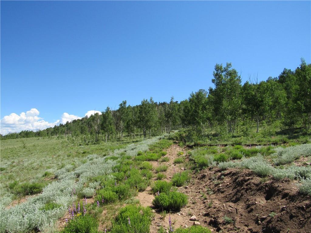 12950 Elkhorn Road Como, CO 80432 - Photo 24 of 30 a view of a field with an trees