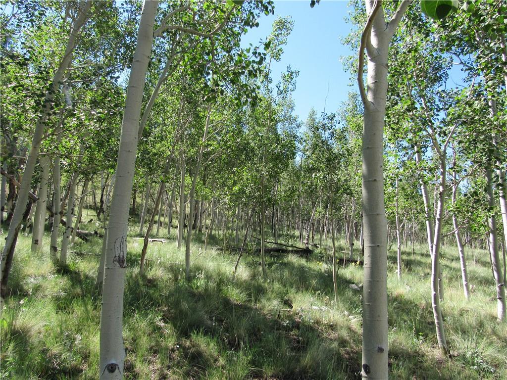12950 Elkhorn Road Como, CO 80432 - Photo 26 of 30 a view of outdoor space and trees