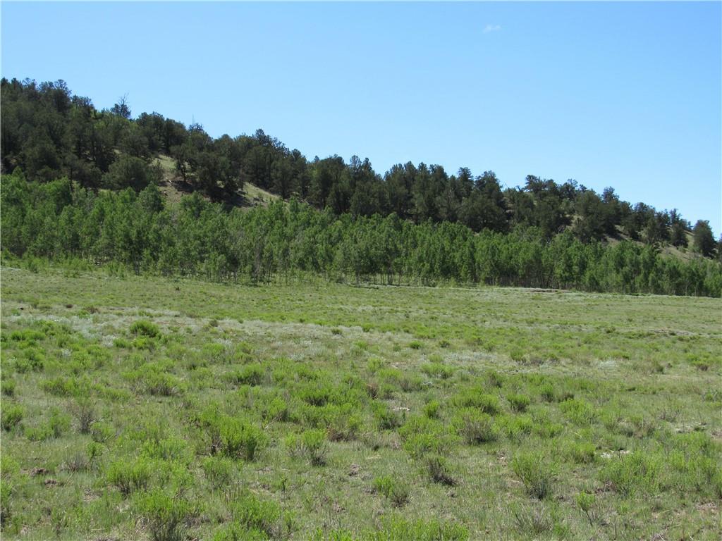 12950 Elkhorn Road Como, CO 80432 - Photo 27 of 30 a view of a lush green field