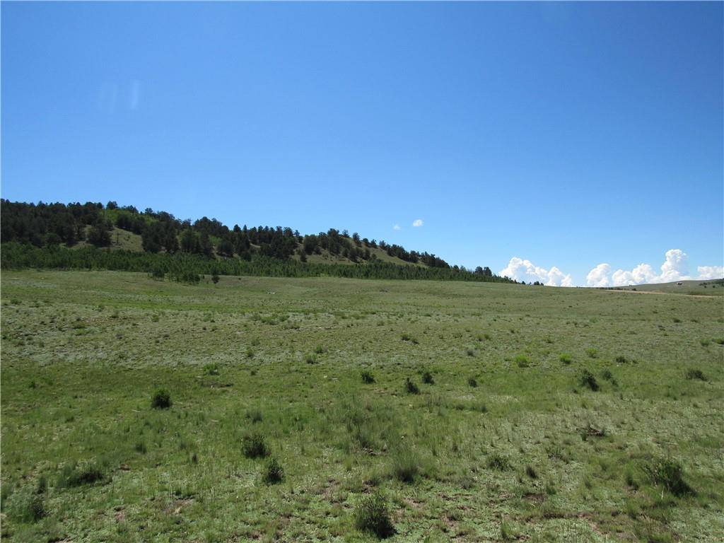 12950 Elkhorn Road Como, CO 80432 - Photo 28 of 30 a view of a lush green space