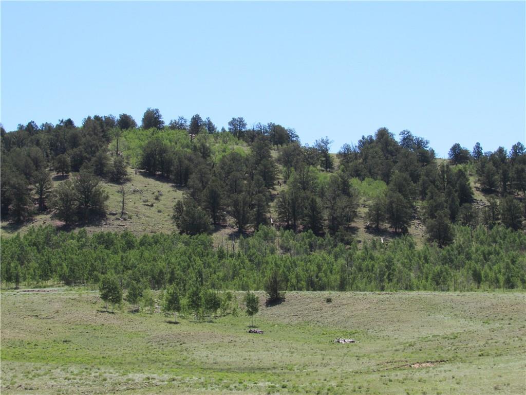 12950 Elkhorn Road Como, CO 80432 - Photo 29 of 30 a view of a field with trees in the background