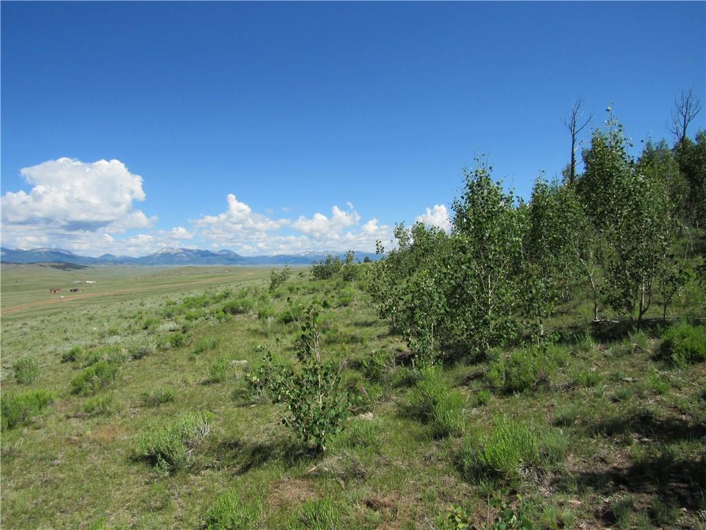 12950 Elkhorn Road Como, CO 80432 - Photo 4 of 30 a view of a bunch of trees and bushes