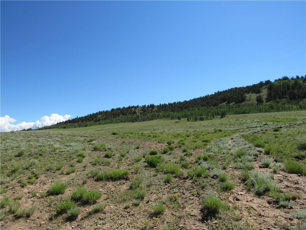 12950 Elkhorn Road Como, CO 80432 - Photo 5 of 30 a view of a lush green forest with lots of trees