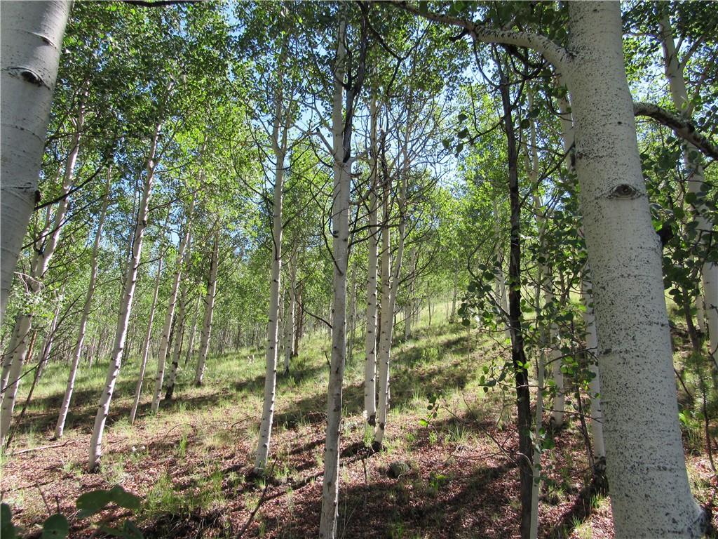 12950 Elkhorn Road Como, CO 80432 - Photo 8 of 30 a view of a forest