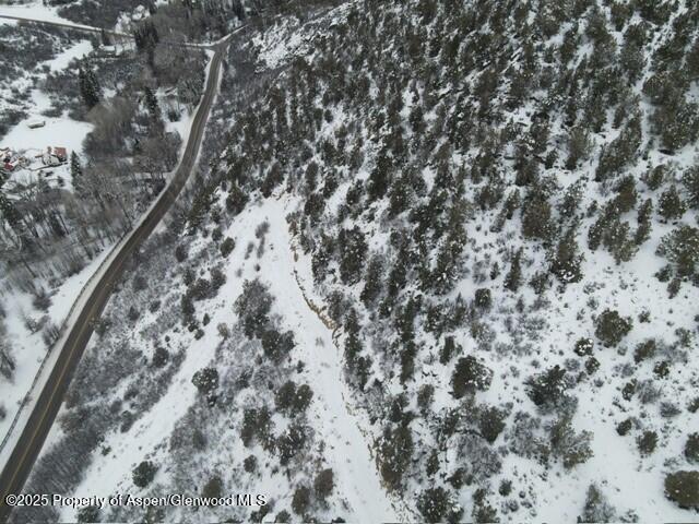 117 County Road Glenwood Springs, CO 81601 - Photo 12 of 17 a view of a yard with a tree
