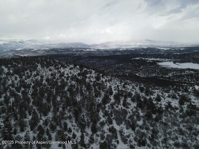 117 County Road Glenwood Springs, CO 81601 - Photo 13 of 17 an aerial view of residential building and trees around