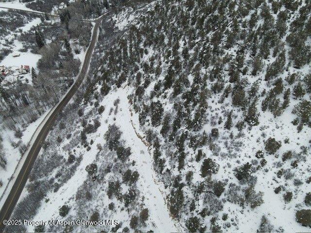 117 County Road Glenwood Springs, CO 81601 - Photo 17 of 17 a view of a yard with a tree