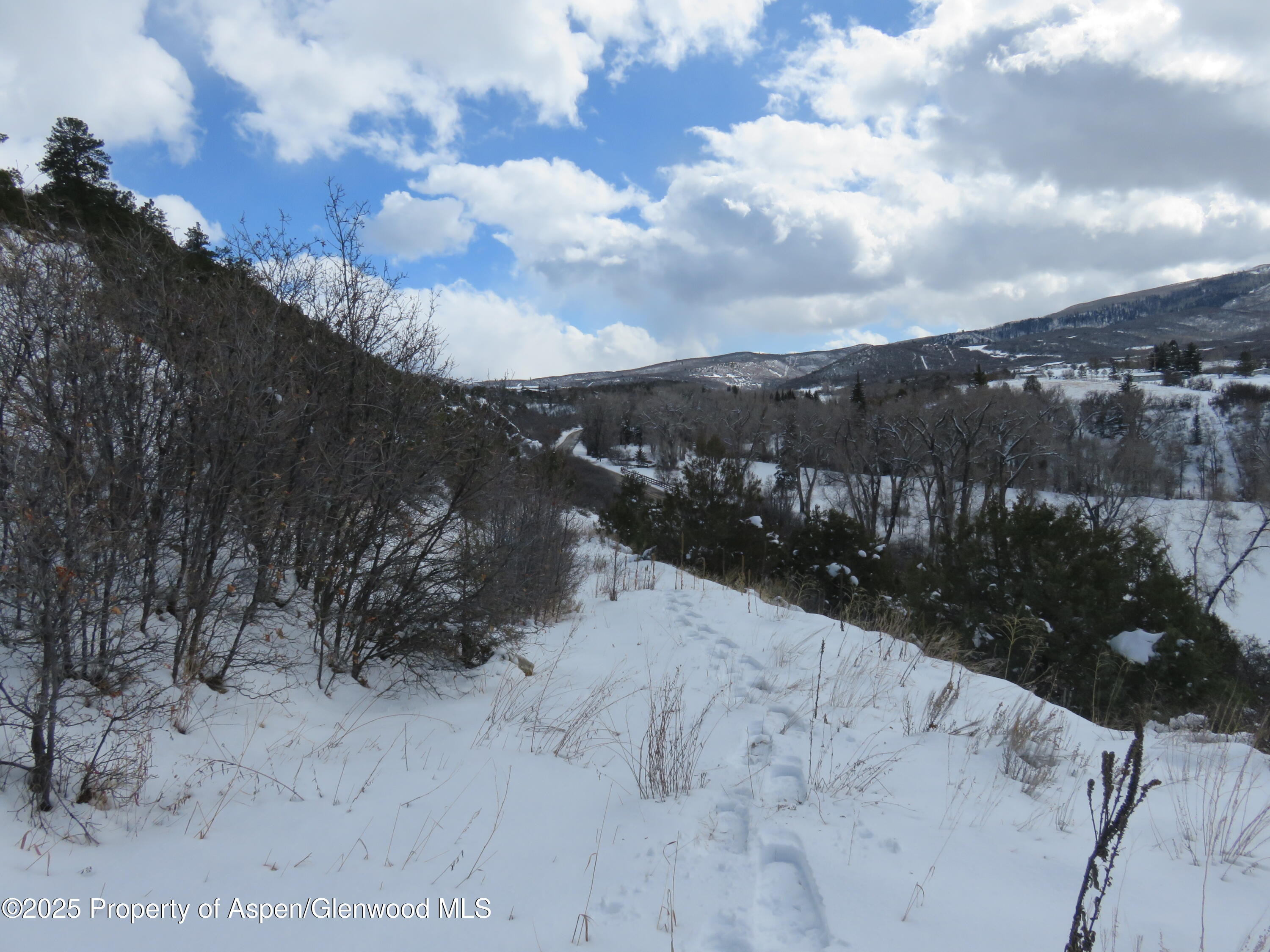 117 County Road Glenwood Springs, CO 81601 - Photo 4 of 17 a view of a covered with snow in the background