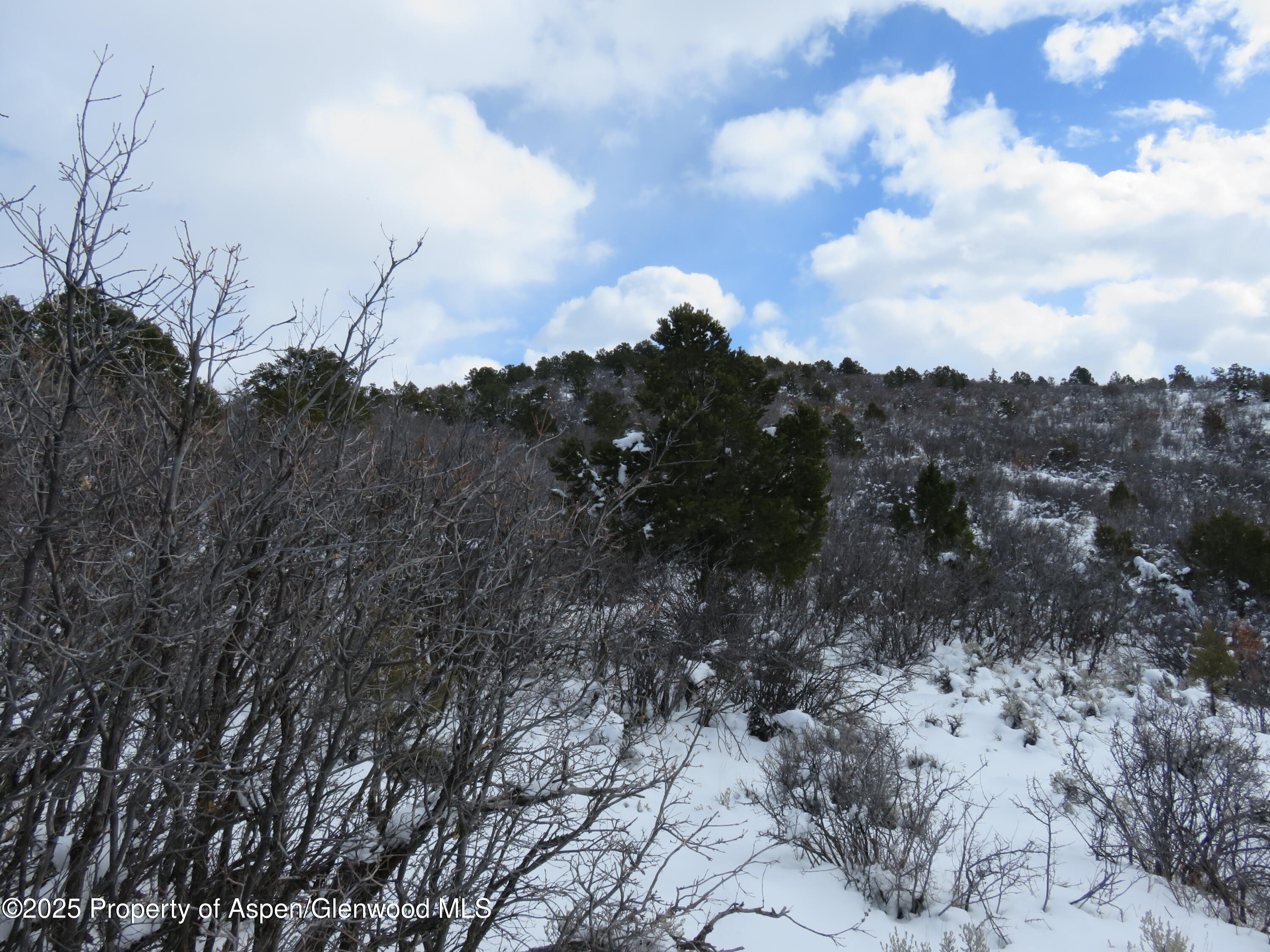 117 County Road Glenwood Springs, CO 81601 - Photo 6 of 17 a view of a yard
