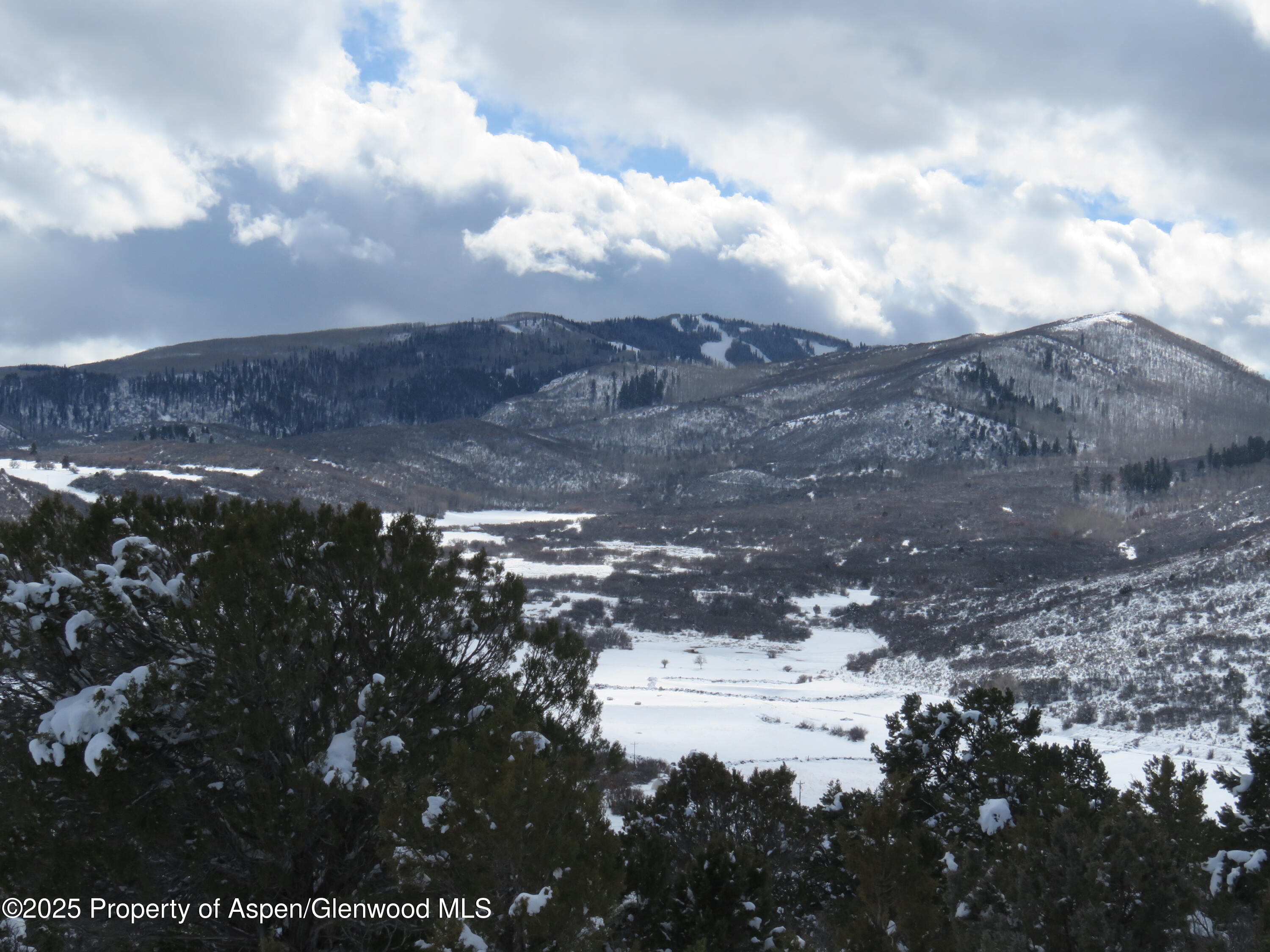 117 County Road Glenwood Springs, CO 81601 - Photo 7 of 17
