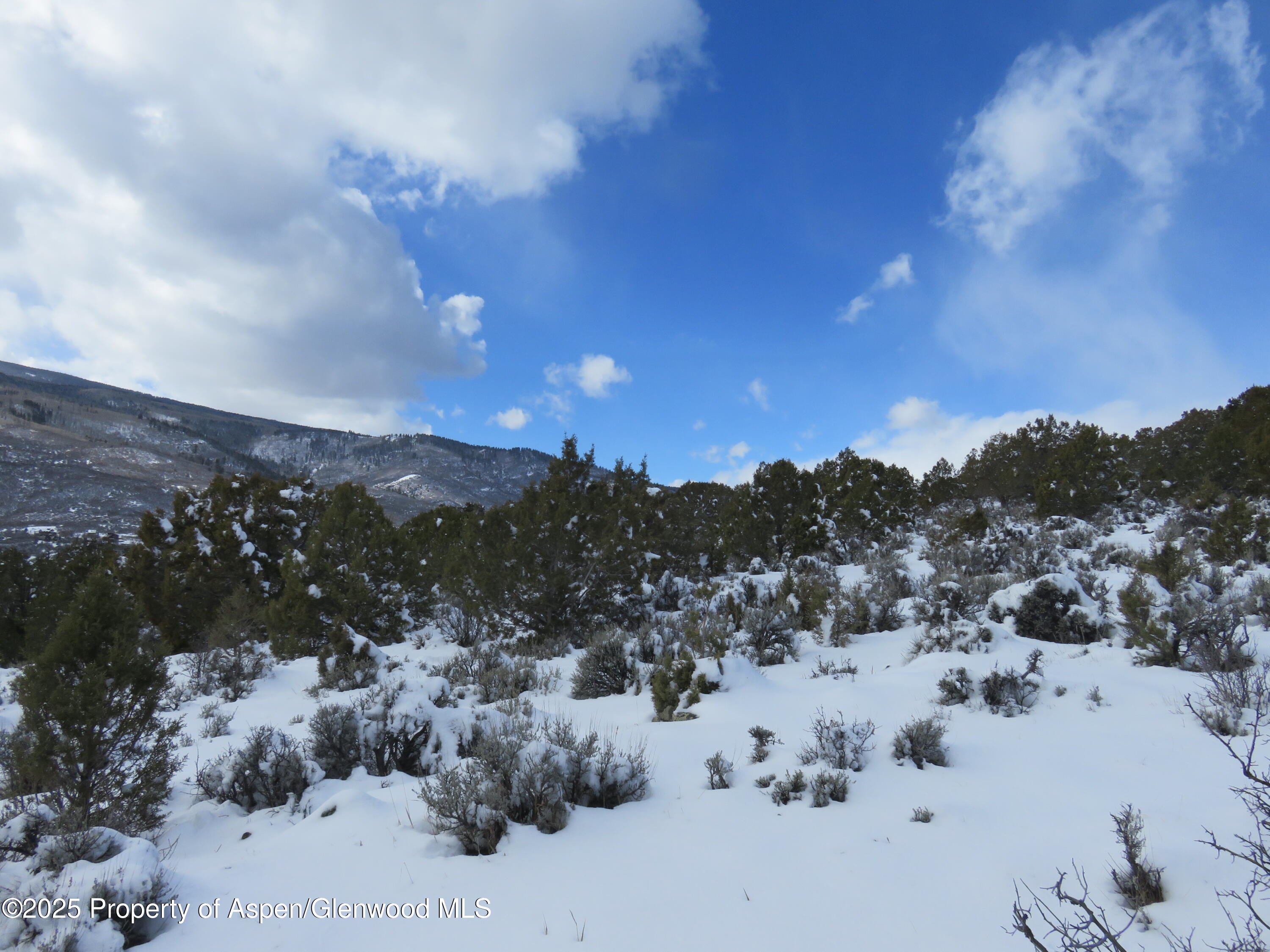 117 County Road Glenwood Springs, CO 81601 - Photo 10 of 17