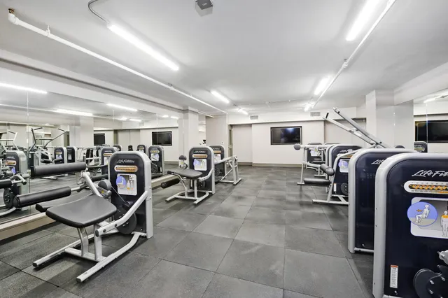 a living room with lots of furniture a rug and gym equipment