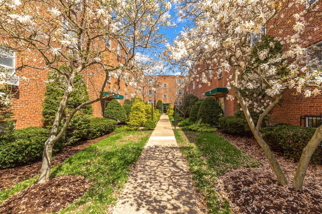 47 Colborne Road, Unit 6 Boston, MA 02135 - Photo 1 of 18 Gallery Image 1