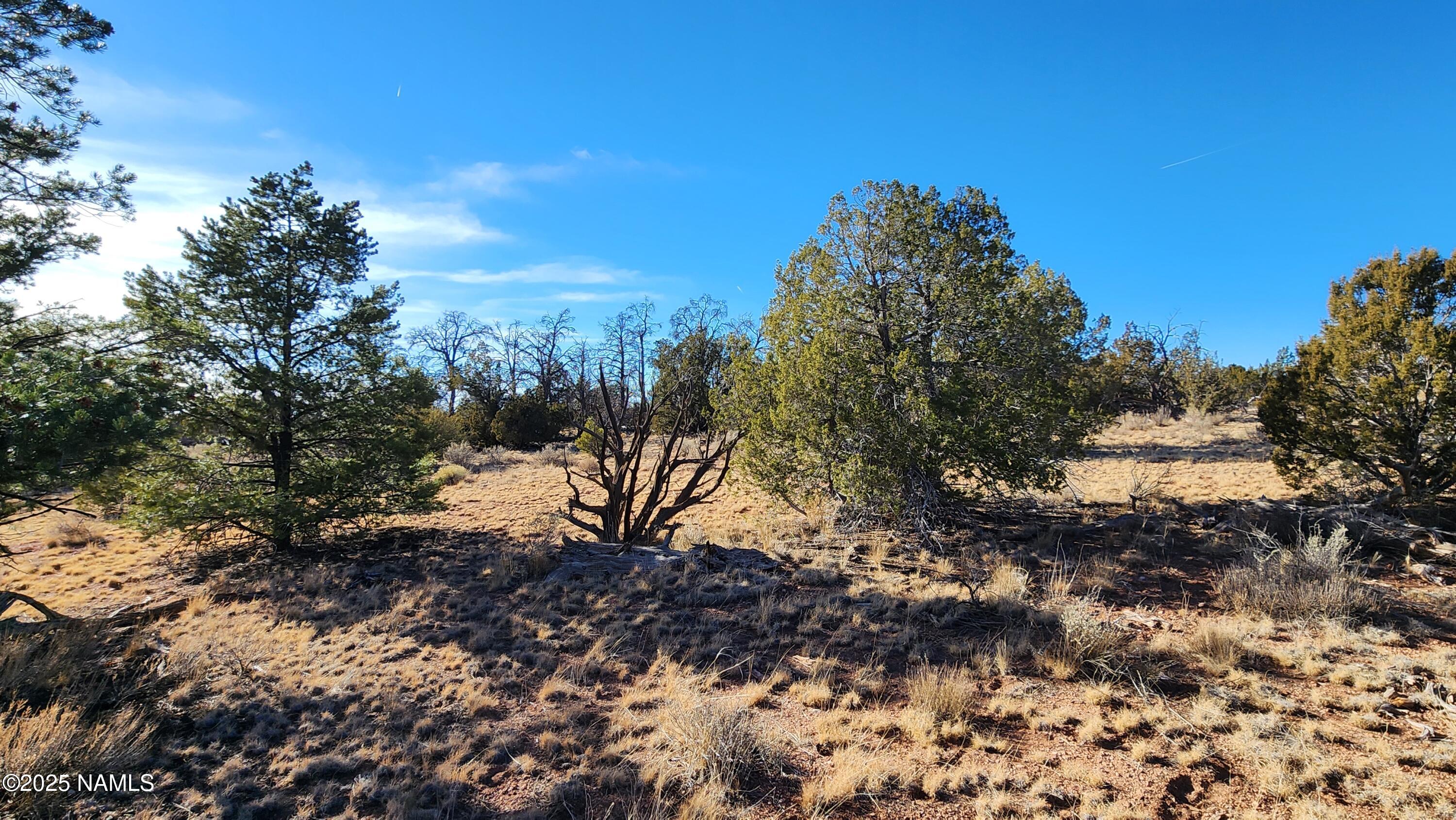 5535 Red Butte Road Williams, AZ 86046 - Photo 4 of 40 1000024106