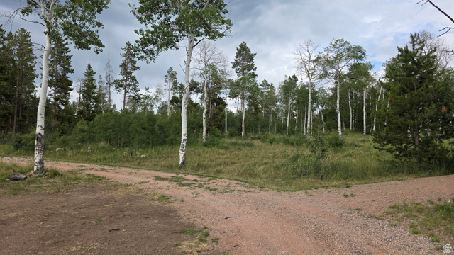 38 Spruce, Unit 38A Evanston, UT 82930 - Photo 7 of 15 Expansive natural landscape with mature trees and a gravel path