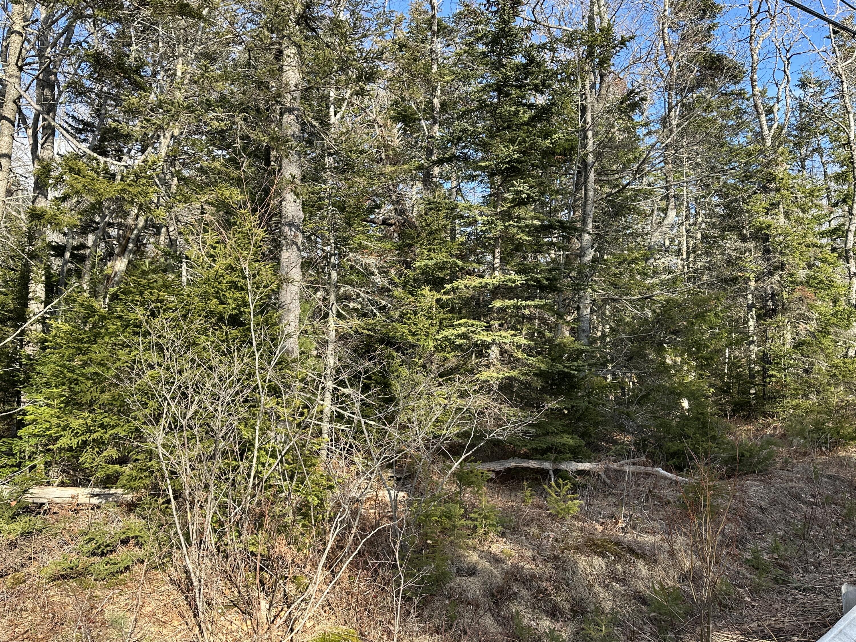 50 Cline Road St. George, ME 04859 - Photo 19 of 21 18