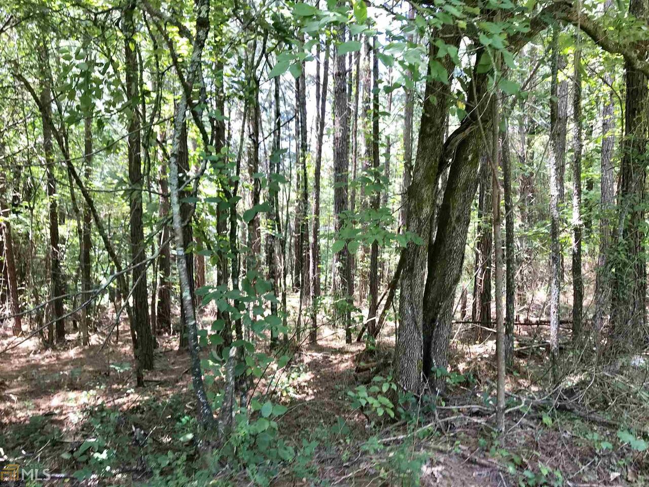0 Ada Street, Unit TRACK 4 Blue Ridge, GA 30513 - Photo 1 of 1