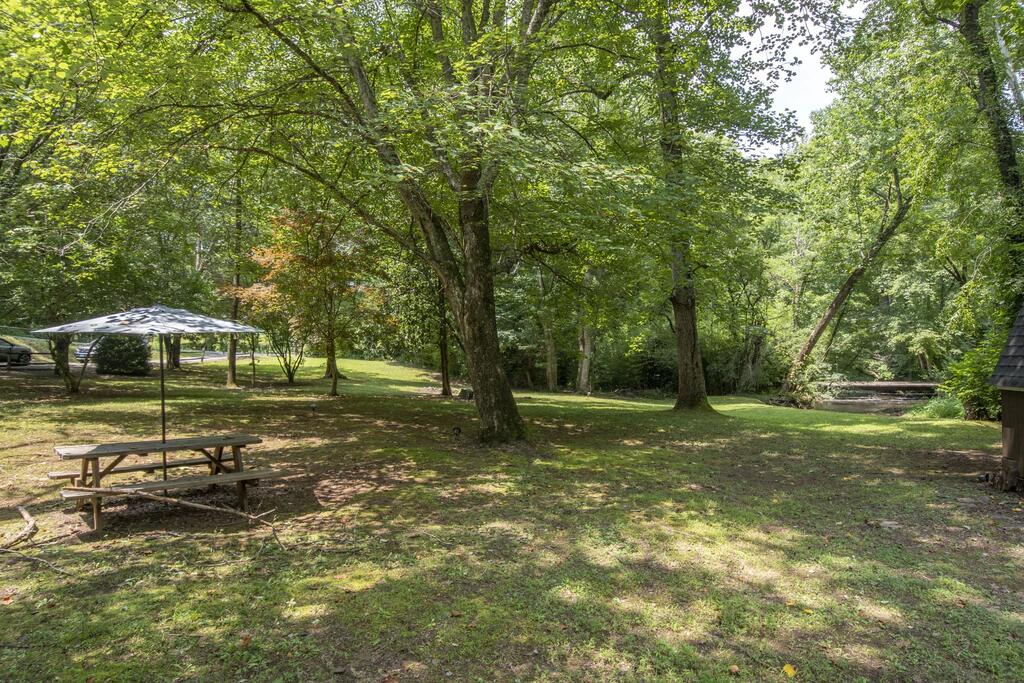 201 Eagle Fork Road Hayesville, NC 28904 - Photo 4 of 50 Gallery Image 4