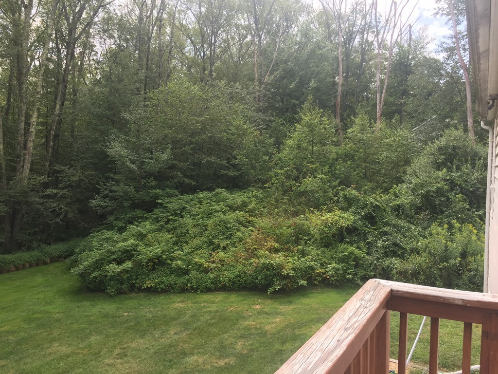 394 Mendon Road Northbridge, MA 01534 - Photo 17 of 19 Gallery Image 17