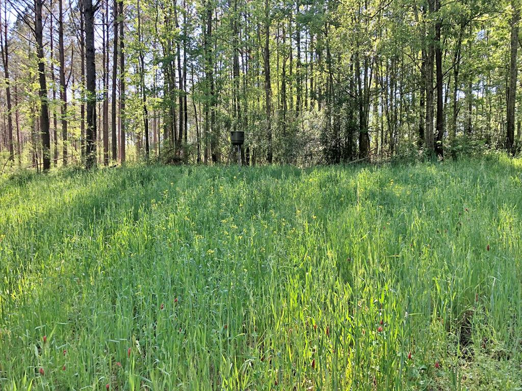 237 Berry Road Sandy Hook, MS 39478 - Photo 54 of 55 Photo 54