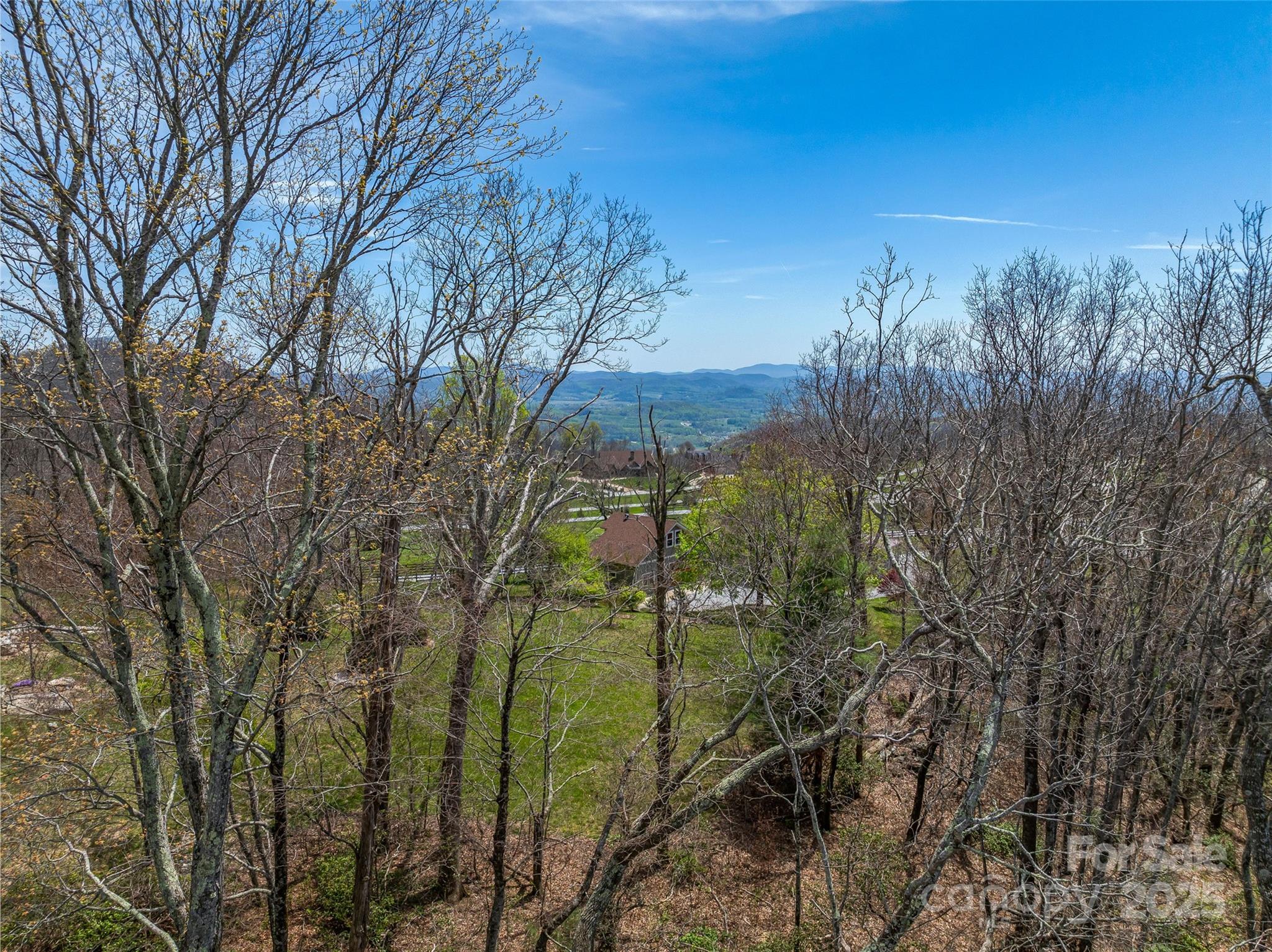 62 Autumn Ridge Lane, Unit 65 Hendersonville, NC 28792 - Photo 13 of 28