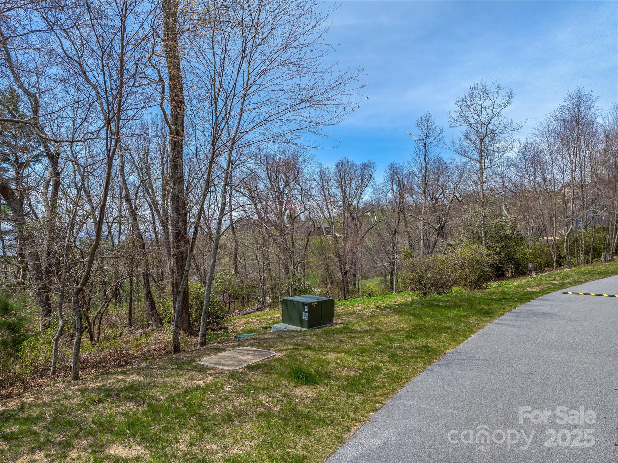 62 Autumn Ridge Lane, Unit 65 Hendersonville, NC 28792 - Photo 15 of 28