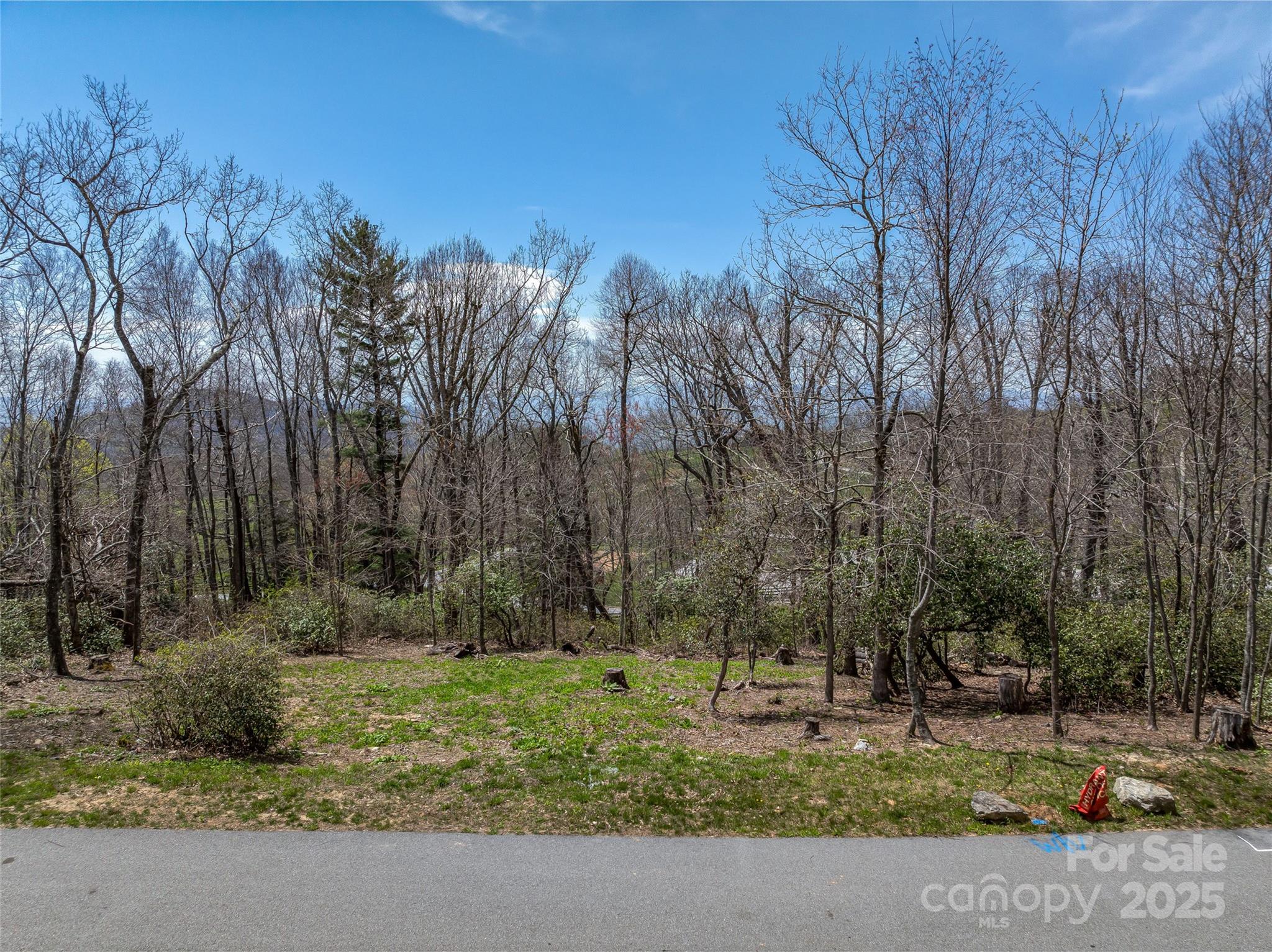 62 Autumn Ridge Lane, Unit 65 Hendersonville, NC 28792 - Photo 4 of 28