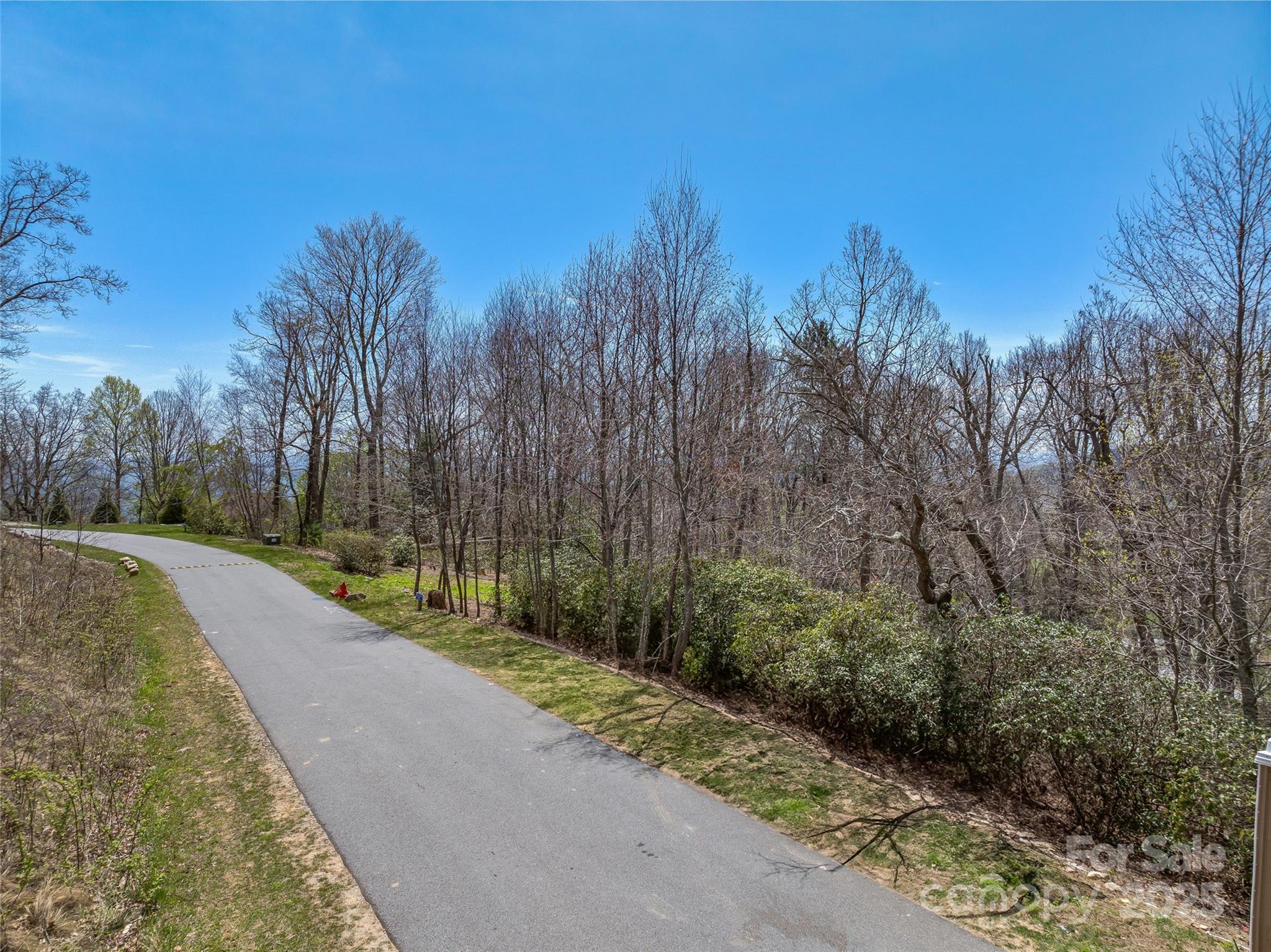 62 Autumn Ridge Lane, Unit 65 Hendersonville, NC 28792 - Photo 8 of 28