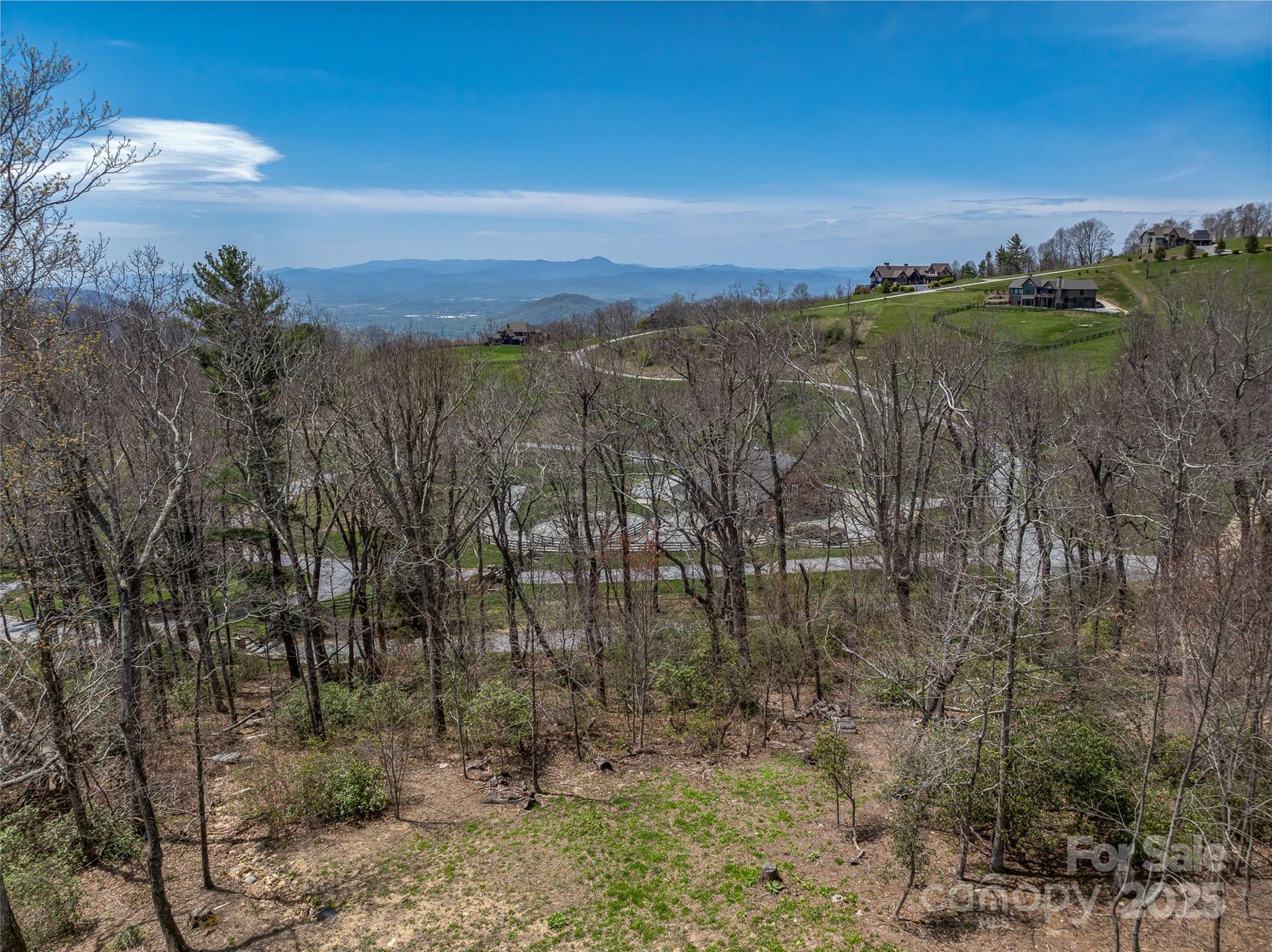 62 Autumn Ridge Lane, Unit 65 Hendersonville, NC 28792 - Photo 9 of 28