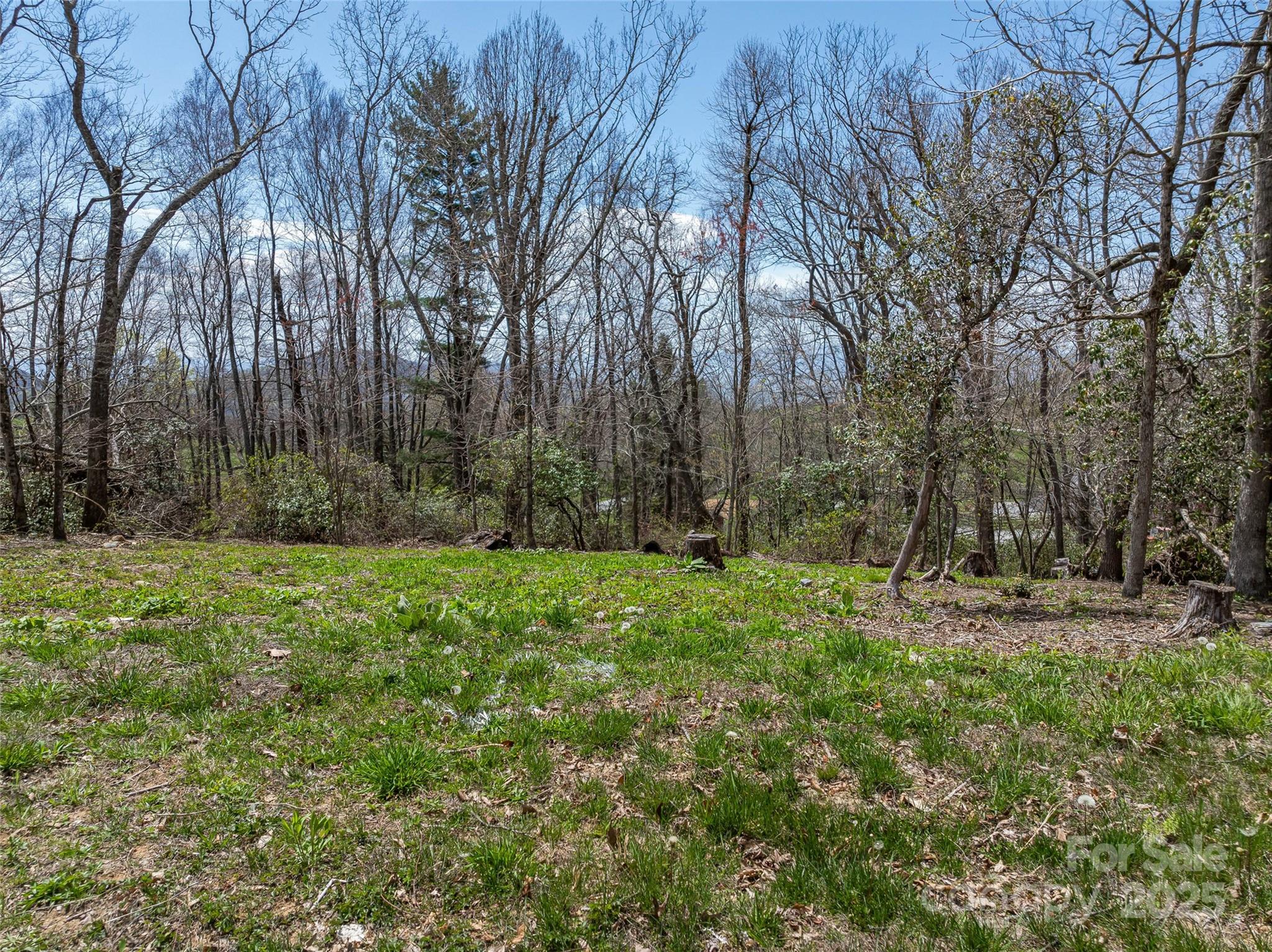 62 Autumn Ridge Lane, Unit 65 Hendersonville, NC 28792 - Photo 10 of 28