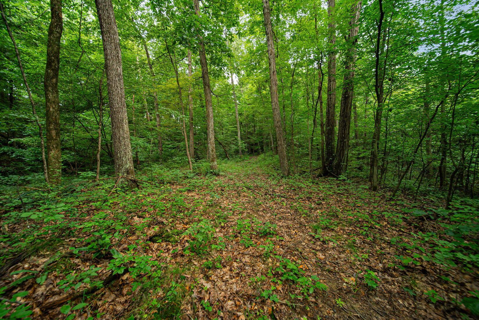 9758 Wesley Chapel Road Mount Perry, OH 43760 - Photo 24 of 43 23-web-or-mls-Todd Burns - 9758 Wesley C
